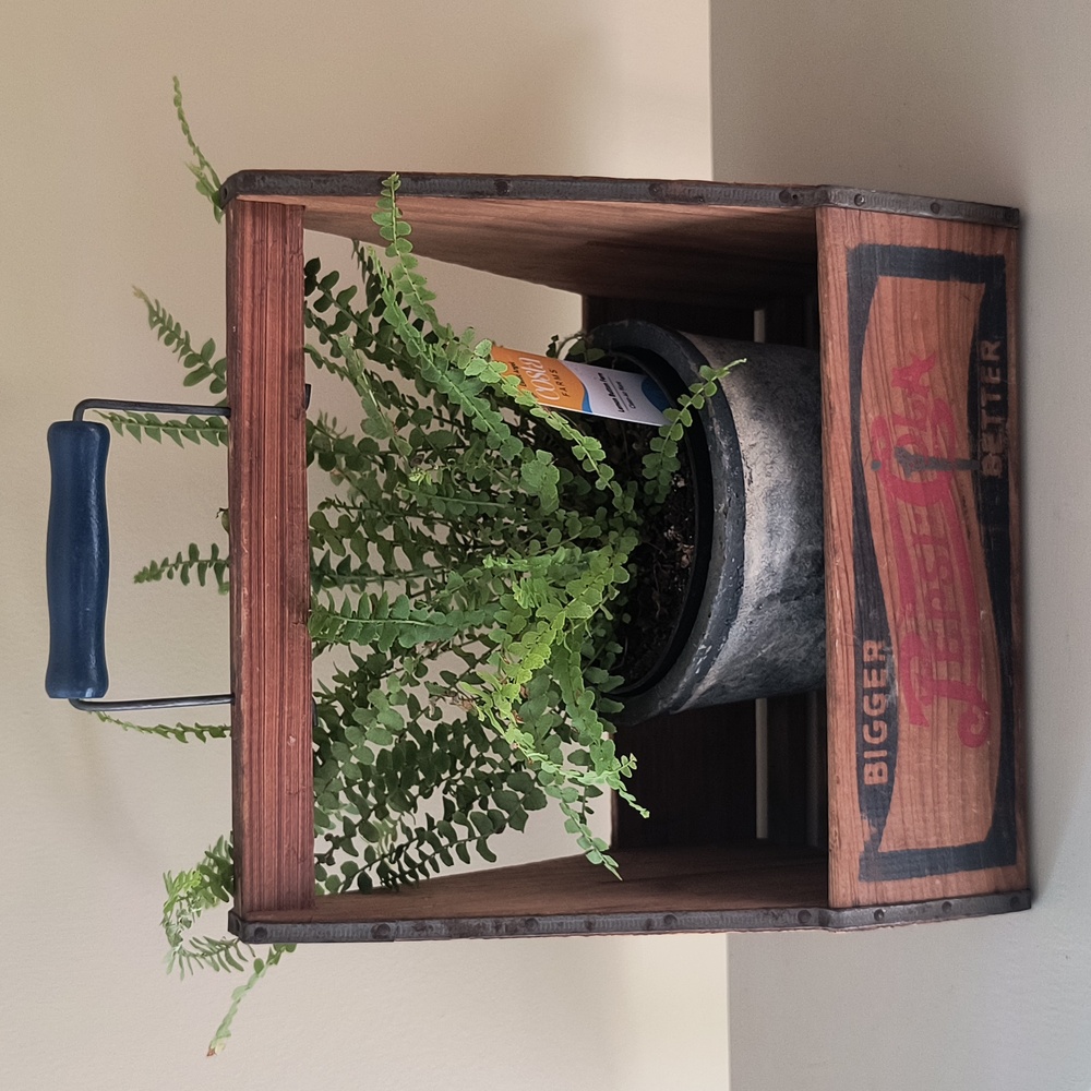 Vintage Wooden Pepsi Carrier - Picture 14 of 16